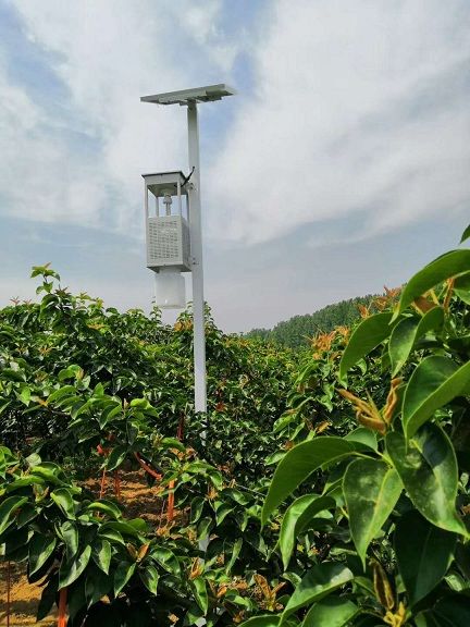 CILICILI官网成人太阳能风吸式杀虫灯
